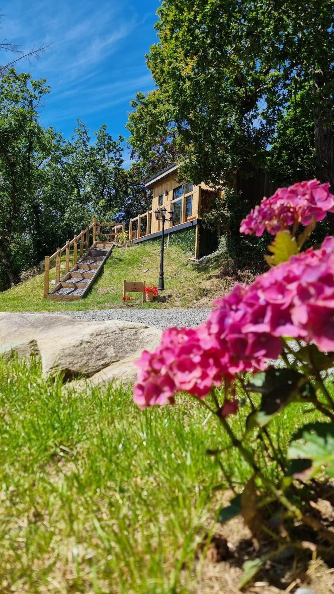 Apartamento The Duck House Barmouth Exterior foto